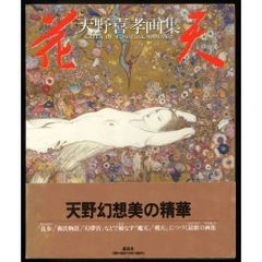 天野喜孝 全版画集 AMANO THE COMPLETE PRINTS - メルカリ