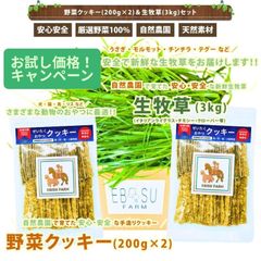 [夏季限定！クール便発送] うさぎ おやつ 天然素材手作りクッキー 400g 牧草 国産とれたて 大容量 6000g 6kg ( イタリアンライグラス クローバー オーツ ソルゴー ) 自然農法 有機野菜 無添加 無着色 ペット用 犬 猫 ハムスター 馬