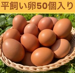 平飼い卵20個入り(クール便) - メルカリ