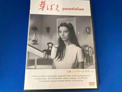 教則DVD リッチーコッツェン 直伝！ 超絶ロックギターフレーズ
