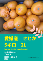 せとか　徳島県産　５キロ　柑橘　２L　優品　果物　フルーツ　柑橘類　みかん