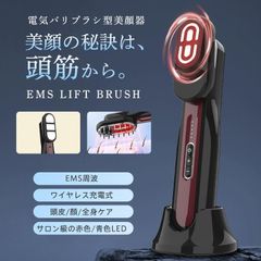電気ブラシ 美顔器 EMS 美容家電 電気針ヘッドスパ 電気バリブラシ 目元 フェイスケア 美肌 頭皮ケア マッサージ 振動 磁石式 ラジオ波 エ