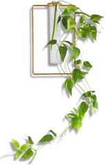 【在庫処分】[アップフレーム] 壁掛け フェイクグリーン 花瓶 セット インテリアグリーン おしゃれ 試験管 ガラス 一輪挿し インテリア雑貨 (スクエア（植物つき）)