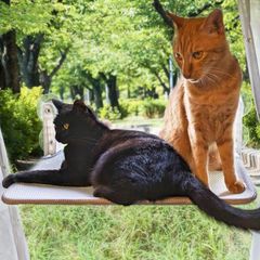 Item thumbnail for item be0194e2-b63d-4d8a-92fc-f8728f7a7307