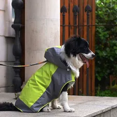 2023年最新】犬 レインコート 大型犬の人気アイテム - メルカリ