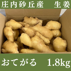 山形県産しょうが 1.8kg｜減農薬・砂付き・バラ詰め発送｜料理や保存に