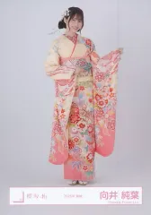 【中古】生写真(乃木坂46) 向井純葉/全身/櫻坂46ランダム生写真【2025年 振袖】