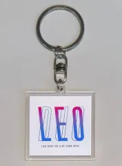 家入レオ　2014 キーホルダー 家入レオ 2014 キーホルダー 家入レオ 2014 キーホルダー My name