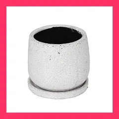 2025年最新】テラコッタ 鉢 9号の人気アイテム - メルカリ