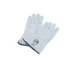 Item thumbnail for item a1ac8cfa-9e1f-440c-a104-fd0265fd1f68