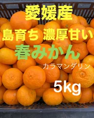 愛媛県　島育ち　濃厚　甘い　春みかん　カラマンダリン　５㎏　箱込みのサムネイル