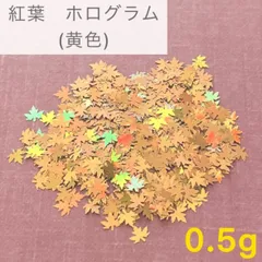 No.17 紅葉　ホログラム　0.5g 黄色　スパンコール　封入　素材　ネイル