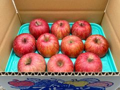 信州産「赤田の家」サンふじ　10個入り3k箱