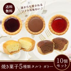 訳あり　焼き菓子5種類タルト ガトー １0個セット 老舗の人気洋菓子  送料無料 ポスト投函便