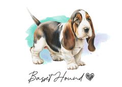 ポストカード【 Basset Hound / バセット・ハウンド 】イラスト アート 水彩画風 パステルカラー はがき -1