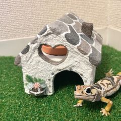 爬虫類　シェルター　グレージュ