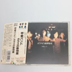 帯付きCD 甲斐バンド / ガラスの動物園(廃盤)  TOCT-6567