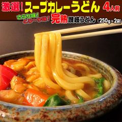 送料無料 うどん 激選スープカレー 讃岐うどん 4人前セット SC4R