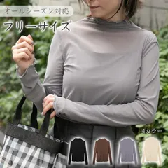 シアートップス 長袖 ハイネック シアー 透け感 レース メロウ フリル レイヤード 重ね着 トップス カットソー インナー レディース フリーサイズ シンプル おしゃれ 無地 春 夏 秋 冬 洗濯可 ap152