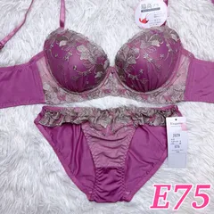 Elegante エレガンテ ブラショーツ セット売り 下着上下 下着 大きいサイズ E75 脇高ブラ U字バック 刺繍 花柄 エレガント 着やせ すっきり 豪華 ピンク