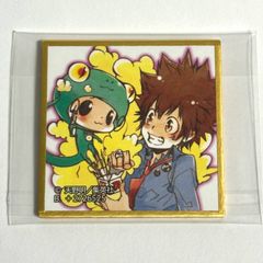 ツナ リボーン 家庭教師ヒットマンREBORN! かてきょーヒットマンリボーン 沢田綱吉 豆ガシャ 色紙 ミニ 天野明展 アニメグッズ sawadatsunayoshi anime amanoakira JUMP