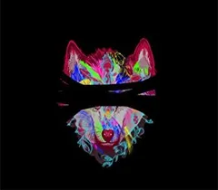 湯木慧　CDアルバム　4枚セット 湯木慧 1st Full Album『W』