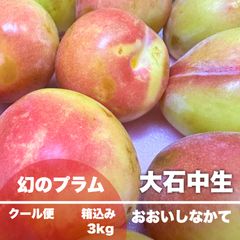 希少品種 山形県産 すもも 幻のプラム 大石中生 箱込み 3kg クール便
