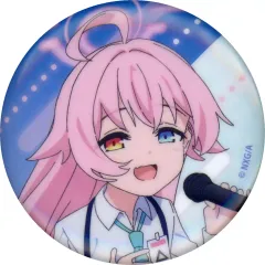 ブルアカ中国最終編缶バッジ　ホシノ×19 ブルーアーカイブ ブルアカ 中国限定 ホシノ 水着 キャラクター