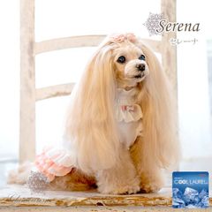 Glamourism　グラマーイズム　セレーナ
