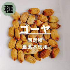 【種】ゴーヤ　ニガウリ　農薬不使用　15粒