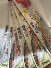 Item thumbnail for item 85932a0c-df6a-4583-a14a-037cc8df57ad