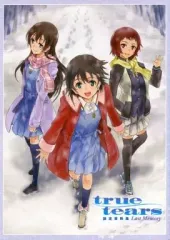 2025年最新】true tears 設定資料の人気アイテム - メルカリ