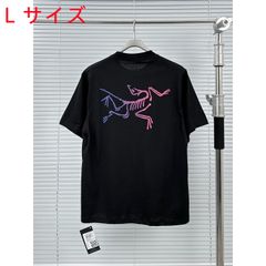Arc'teryx アークテリクスKRAGG　Tシャツ　レディース　メンズ　半袖Tシャツ 男女兼用 L