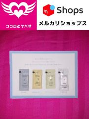 ドモホルンリンクル 再春館製薬所 お試し基本4点セット