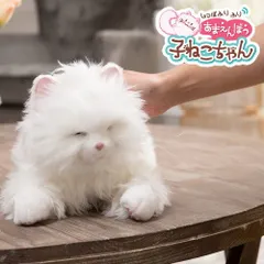 メルカリ特典　自由にメッセージ付けられます！【中古品】まばたきが可愛い！　デジレクト しっぽふりふり あまえんぼう 子ねこちゃん