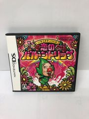 ニンテンドーＤＳ　いろづきチンクルの恋のバルーントリップ