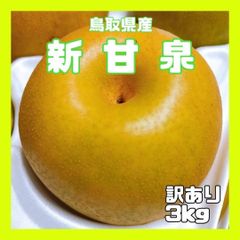 【鳥取県産】新甘泉　訳あり　梨　6〜9玉　3kg　糖度13〜14度　二十世紀梨