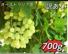 数量限定‼️常温便‼️訳ありぶどう700g‼️葡萄　ブドウ　家庭用 オーストラリア産　北海道、沖縄の方は450円の追加料金が必要です‼️