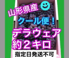 🧊クール便🧊山形県産デラウェア　約２キロ