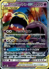 【029/095　RR】ベトベトン&アローラベトベトンGXのサムネイル