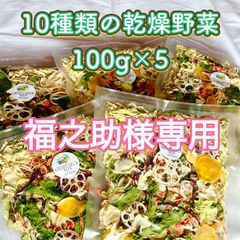 【福之助様専用】10種類の乾燥野菜100g×5袋