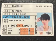 【即日発送】EBiDAN  推し免許証  BUDDiiS HARUKI
