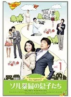 全巻セット【中古】DVD▼ソル薬局の息子たち(27枚セット)第1話～最終話 字幕のみ レンタル落ち Amazon.co.jp: ソル薬局の息子たち [レンタル落ち] (全27巻