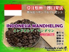 ◎本日焙煎・コク深めのコーヒー・インドネシア・マンデリン・200g・約13杯分