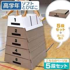 KaRaDaStyle 跳び箱 室内 子供 高学年向け ソフト 飛び箱 とび箱 ジョイント式 小学生 指導ライン 高重量 運動 自宅 子ども 室内 家庭用 高さ100cm 5段セット