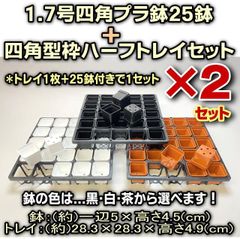 ミニプラ鉢専門店＊1.7号四角プラ鉢-黒・白・茶から25鉢＋四角型枠ハーフトレイセット×2セット＊多肉植物・塊根植物コーデックス・アガベ・サボテン・盆栽・観葉・ハオルチア・アデニウム・パキポディウム＊グラキリス・実生＠フラワーショップ江口