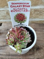 PGLyG6jTibjbfUN6V37aPF.jpg@jpg