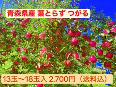 【最終値下げ】青森県産 ☆葉とらずつがる☆りんご
