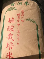 2024年最新】佐藤大農園の人気アイテム - メルカリ