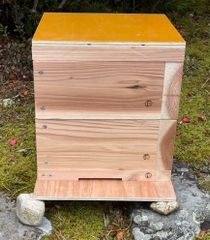 日本みつばち用 飼育箱 重箱式巣箱 待ち箱 2段 セット - メルカリ